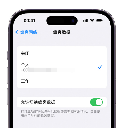 安远苹果维修服务分享如何在iPhone上使用双卡 